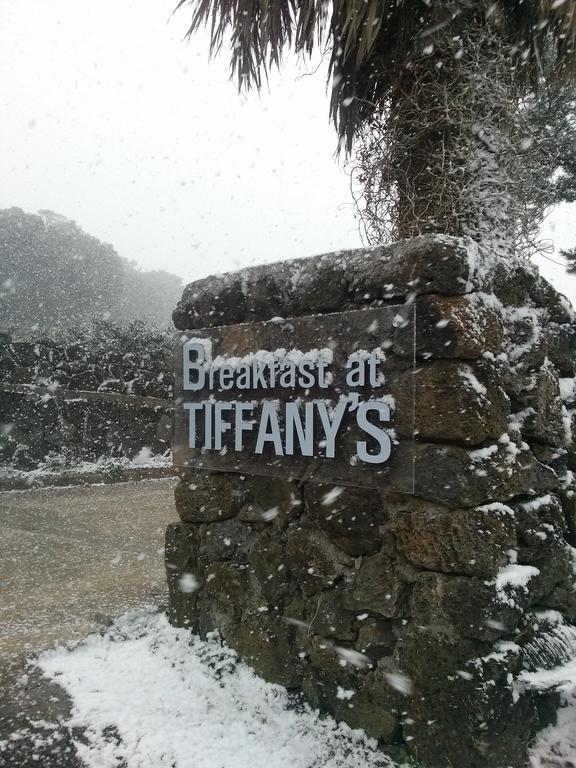 Breakfast At Tiffany'S Pension Seogwipo Bagian luar foto